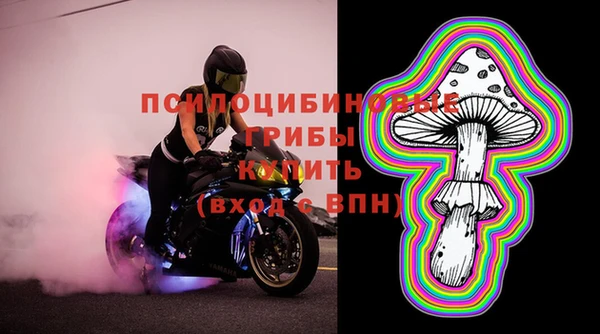 гидра Алзамай